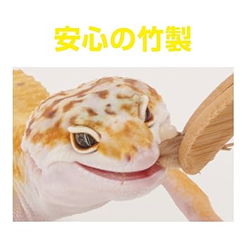 根付け　トカゲ  蜥蜴　爬虫類　竹 Amazon | 爬虫類ピンセット 給餌ピンセット 2本セット 蛍光